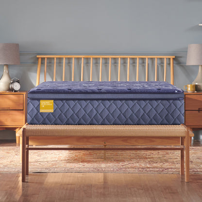 Golden Elegance - Remmington Soft Euro Pillow Top Mattress